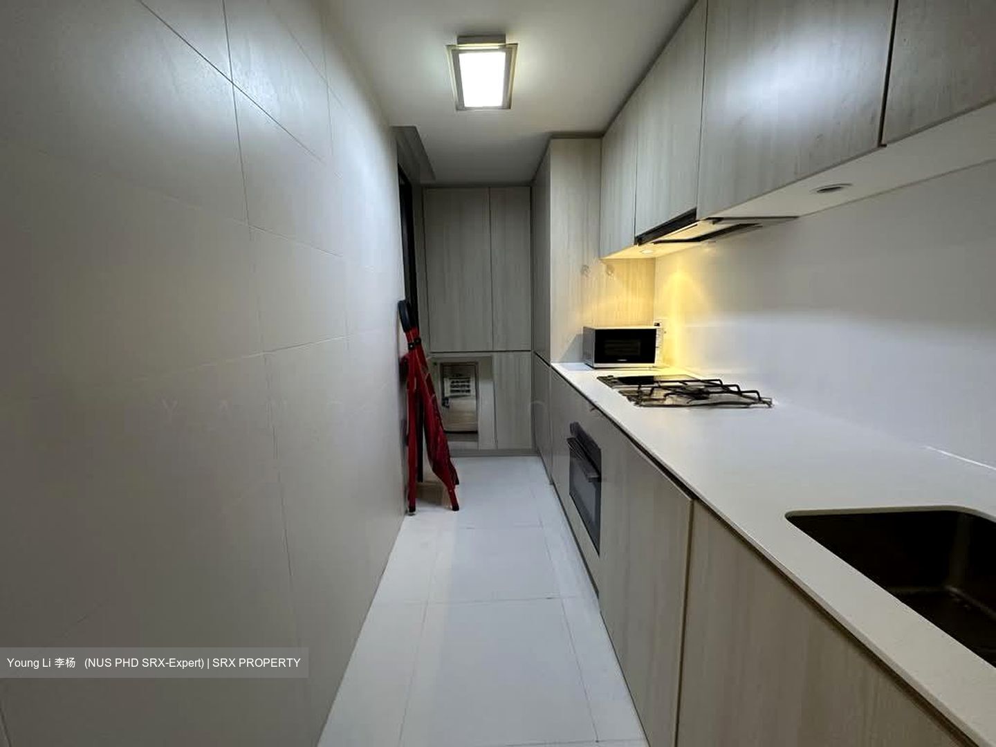 The Tembusu (D19), Condominium #527475151